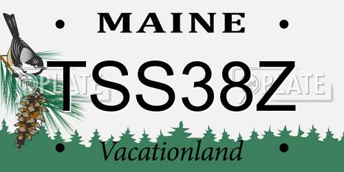 TSS38Z Maine License Plate