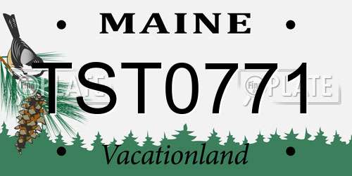 TST0771 Maine License Plate