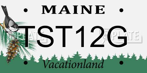TST12G Maine License Plate