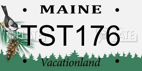 TST176 Maine License Plate