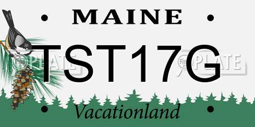 TST17G Maine License Plate