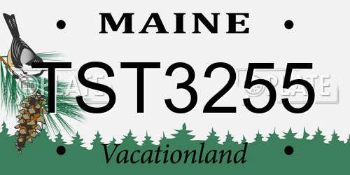 TST3255 Maine License Plate