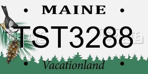 TST3288 Maine License Plate