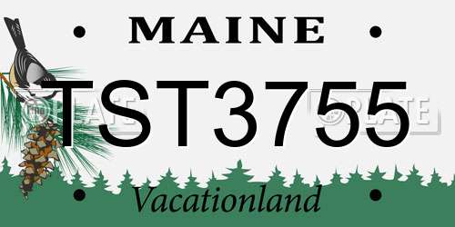 TST3755 Maine License Plate