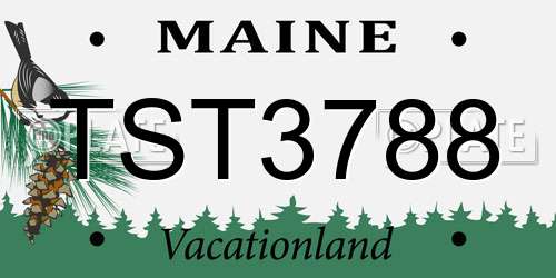 TST3788 Maine License Plate