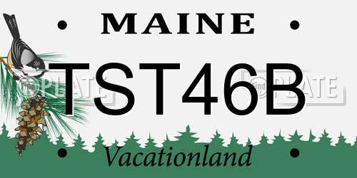 TST46B Maine License Plate