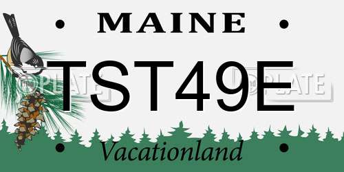 TST49E Maine License Plate
