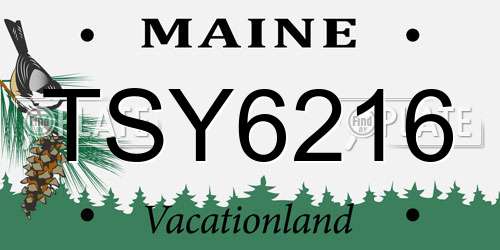 TSY6216 Maine License Plate