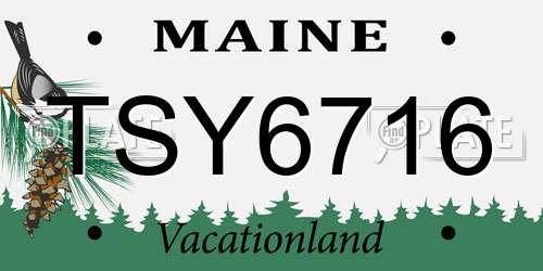 TSY6716 Maine License Plate