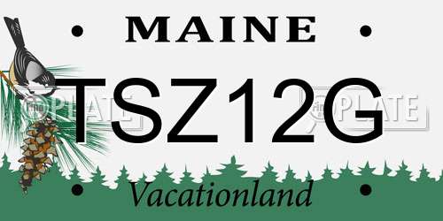 TSZ12G Maine License Plate