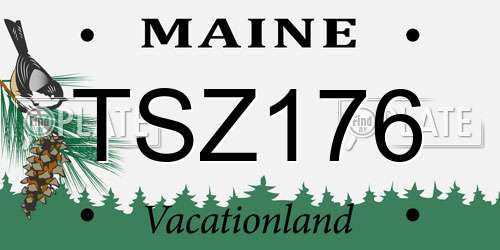 TSZ176 Maine License Plate