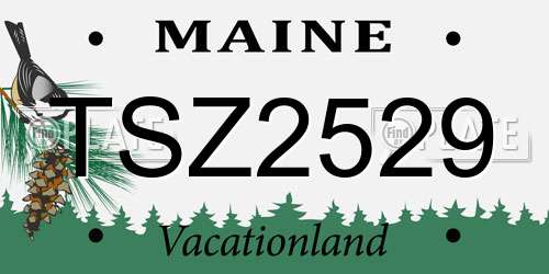 TSZ2529 Maine License Plate