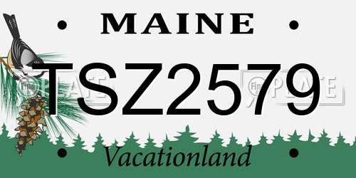 TSZ2579 Maine License Plate