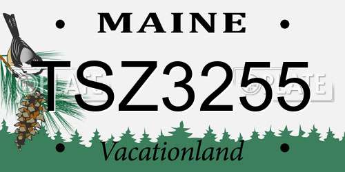 TSZ3255 Maine License Plate