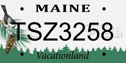 TSZ3258 Maine License Plate