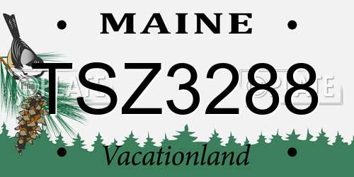 TSZ3288 Maine License Plate