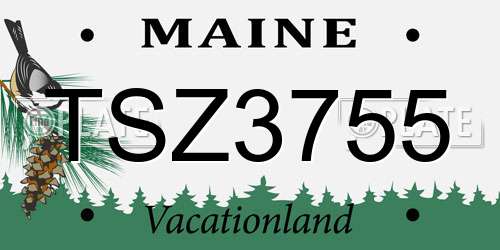 TSZ3755 Maine License Plate
