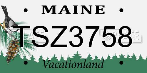 TSZ3758 Maine License Plate