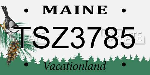 TSZ3785 Maine License Plate