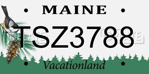 TSZ3788 Maine License Plate
