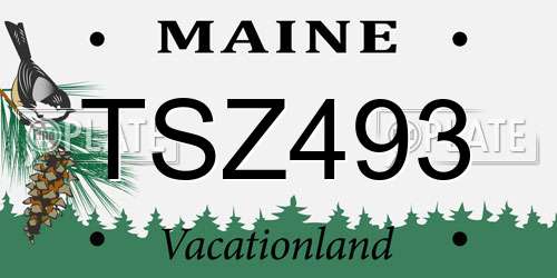TSZ493 Maine License Plate