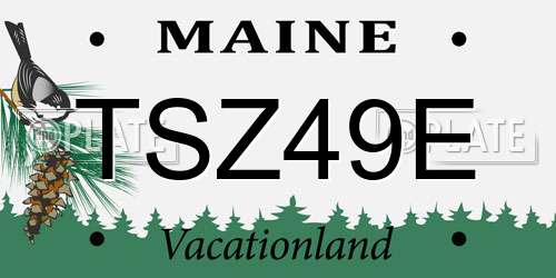 TSZ49E Maine License Plate