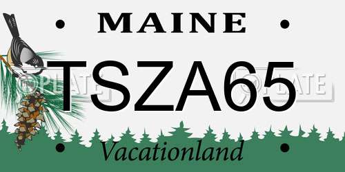 TSZA65 Maine License Plate
