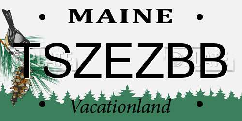 TSZEZBB Maine License Plate