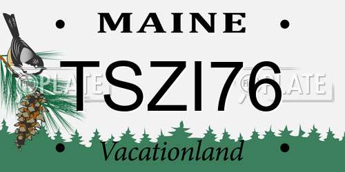 TSZI76 Maine License Plate