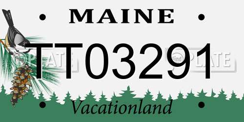 TT03291 Maine License Plate