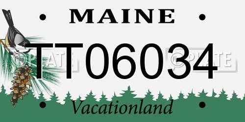 TT06034 Maine License Plate