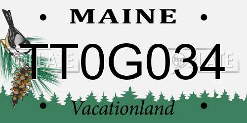 TT0G034 Maine License Plate