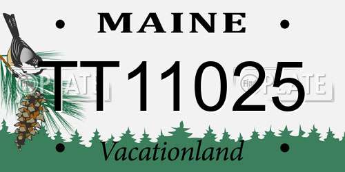 TT11025 Maine License Plate