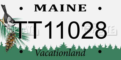 TT11028 Maine License Plate
