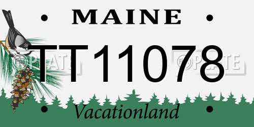 TT11078 Maine License Plate