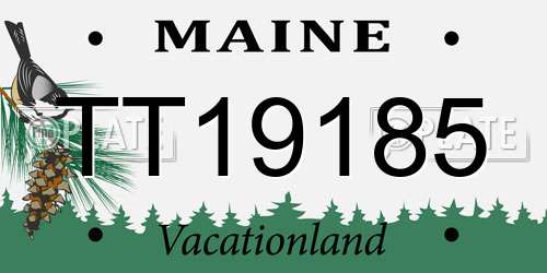 TT19185 Maine License Plate
