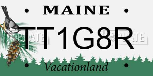 TT1G8R Maine License Plate