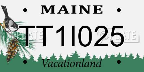 TT1I025 Maine License Plate