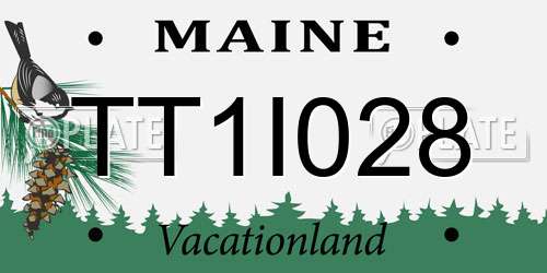 TT1I028 Maine License Plate