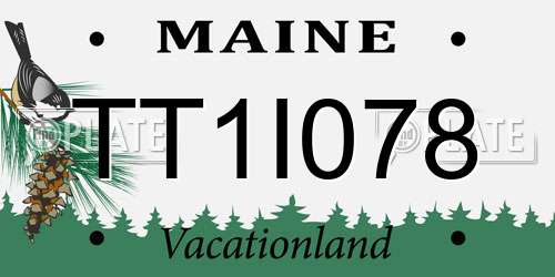 TT1I078 Maine License Plate