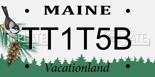 TT1T5B Maine License Plate