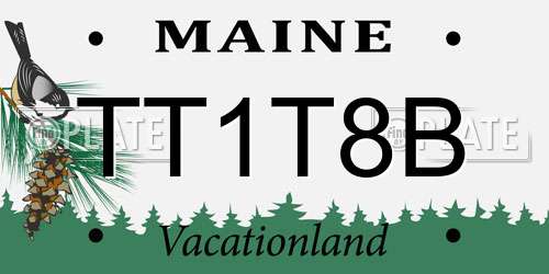 TT1T8B Maine License Plate