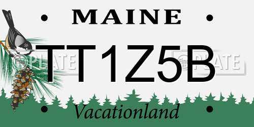 TT1Z5B Maine License Plate