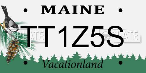 TT1Z5S Maine License Plate