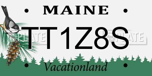 TT1Z8S Maine License Plate