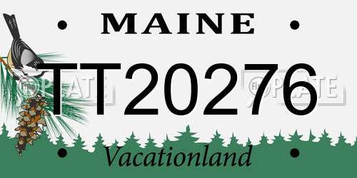 TT20276 Maine License Plate