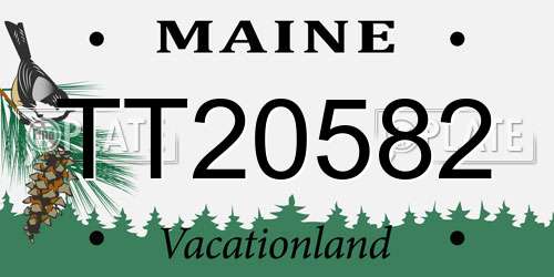 TT20582 Maine License Plate
