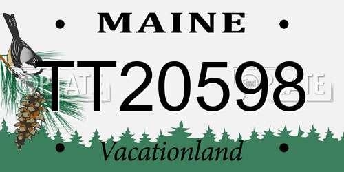 TT20598 Maine License Plate