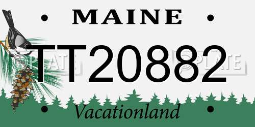 TT20882 Maine License Plate