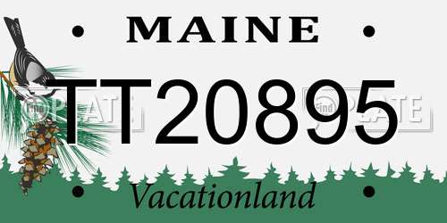 TT20895 Maine License Plate